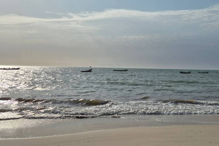 RB 41 Mauritanie