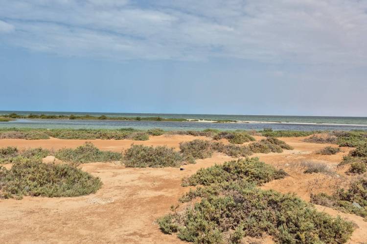 RB 41 Mauritanie