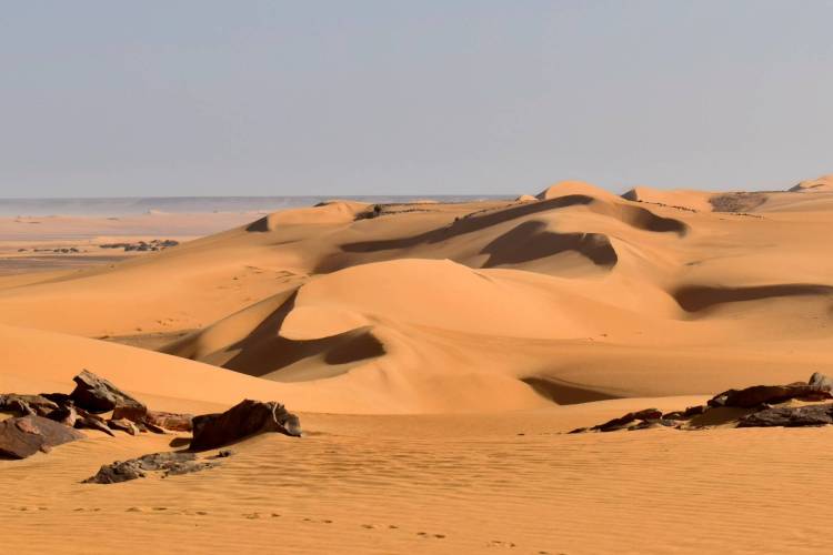 RB 41 Mauritanie