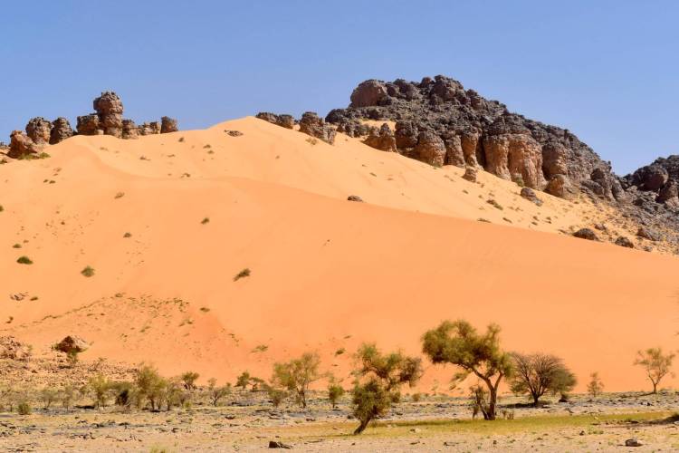 RB 41 Mauritanie