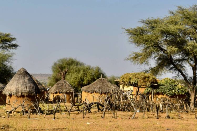 RB 41 Mauritanie