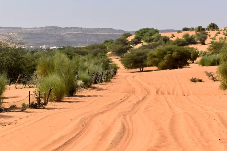 RB 41 Mauritanie