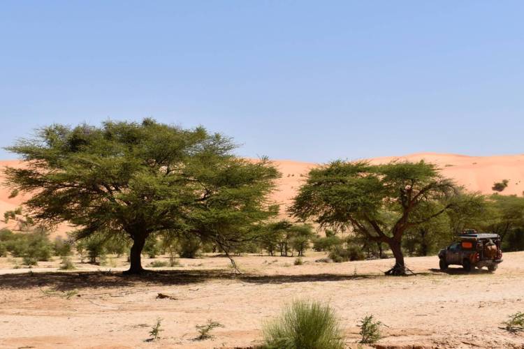 RB 41 Mauritanie